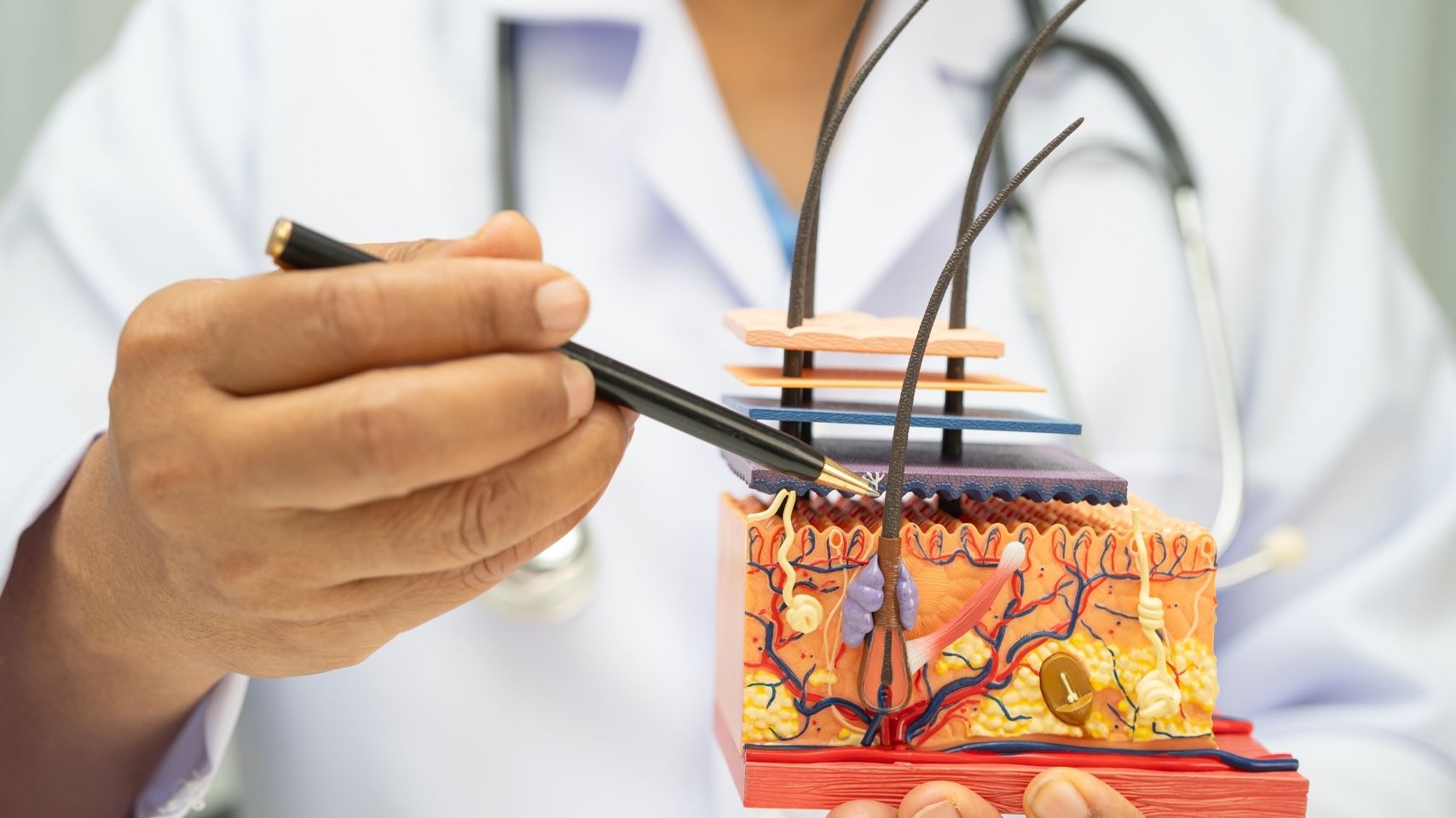 SEO για Δερματολόγους